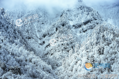 关于心的优美句子