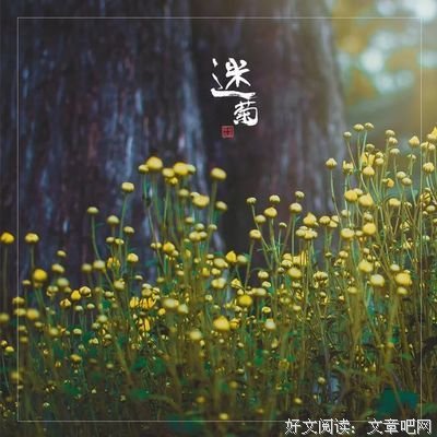 早读：人，越简单越幸福