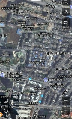 有关内大他国叶的句子