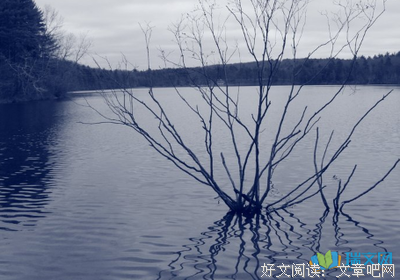《情》的句子