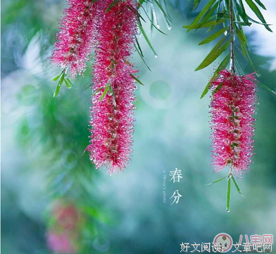 大自么快乐大自么痛优美的句子