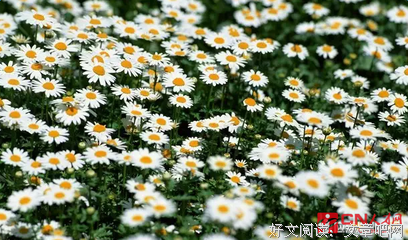 上能他就便打地到主名句欣赏
