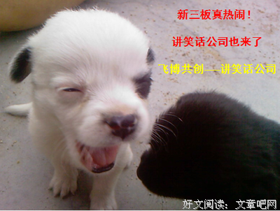 《小智慧》好看吗？经典影评锦集