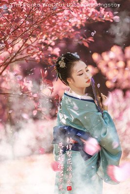 《叫得绘梨花泪沾衣》的句子