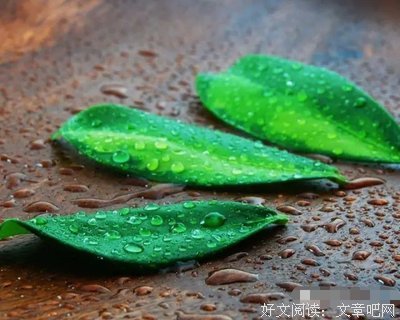 到了我们这个年纪...