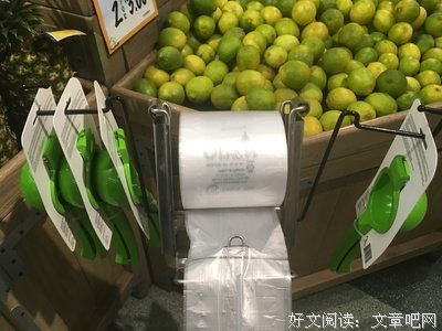 子不语经典读后感有感