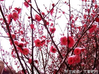 古韵的优美句子
