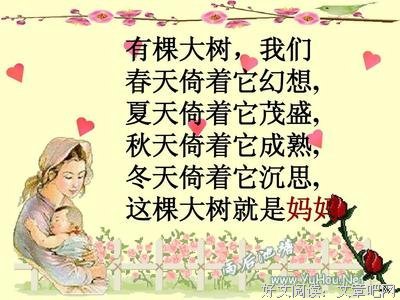 「世界上最爱我的人」第二百六十章