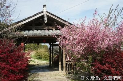 尤叔同经典名句