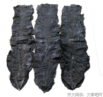 《海带》影评精选