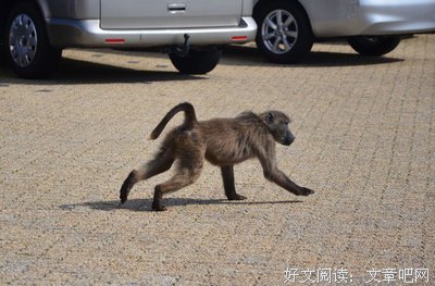 《让世界听见》经典观后感集