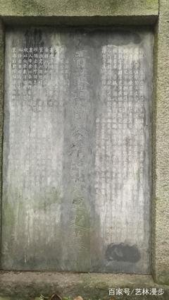 《陶渊明的幽灵》经典读后感有感