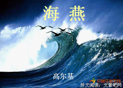 《满天风雨下西楼》读后感锦集