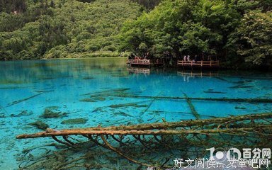 《海子的诗》经典读后感有感