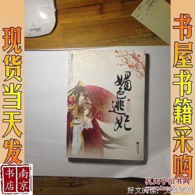 媚色逃妃（上下）读后感锦集