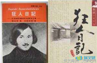 《艺术与错觉》经典读后感有感