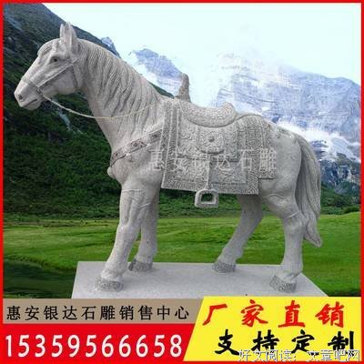 战马读后感摘抄