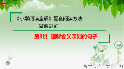 一知半解的句子