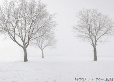 星划过→↓曾爱过※花幽落的优美句子