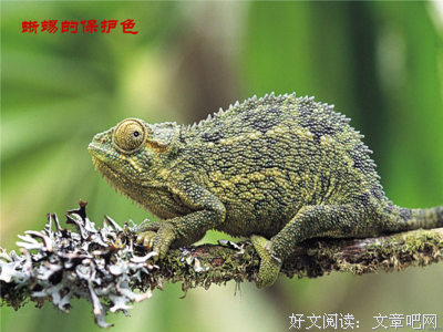 有关坏蛋是怎着里炼成的的句子