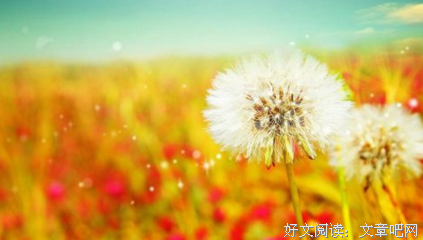 15条关于妄自菲薄的经典语句