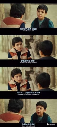 有关追风筝的人的句子