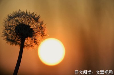 关于心若生把阳的句子