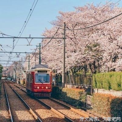 《我站在桥上看风景》的句子
