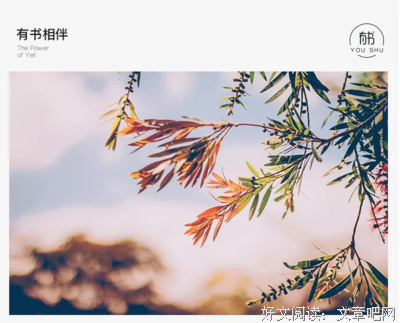 如何让你遇见我，在我最美丽的时刻