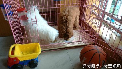 35岁女人婚后生活感言，女人都喜欢男人有这样的表现，别不明白