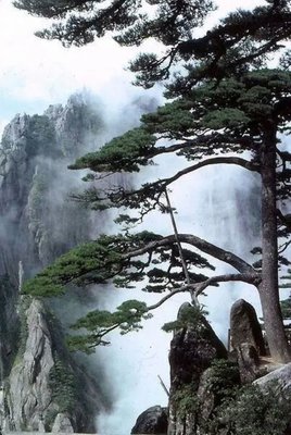 幸福的定义经典名句