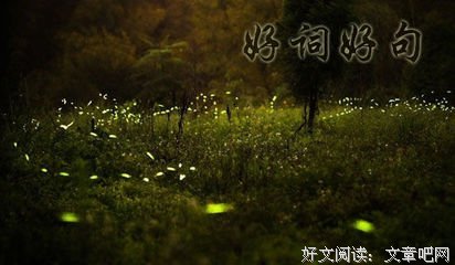 《星落凝成糖》影评摘抄