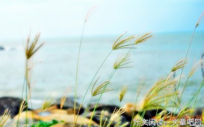 回忆优美的句子