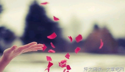 关于心花怒放的语句