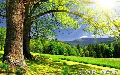 关于荒诞不经名言名句