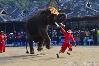 野象谷等你！大嘎子放话刘一手：有种就来！刘一手嘲大嘎子闪避，