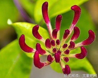 透不过气的名句_关于透不过气的名句