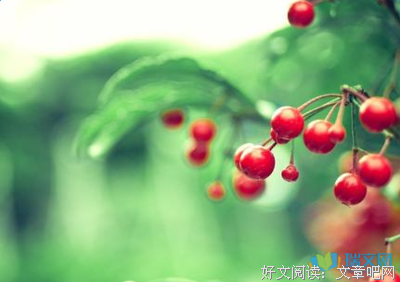 关于光彩照人的名言