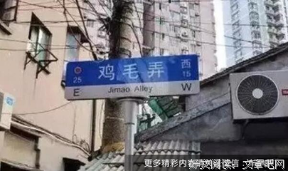 奇葩系列之嫁人就堕落如掉毛鸡的女人（178）