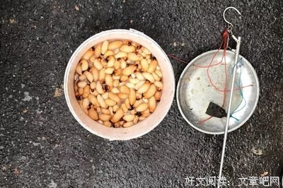 大山大海，人间美味，我和世界只差一个你