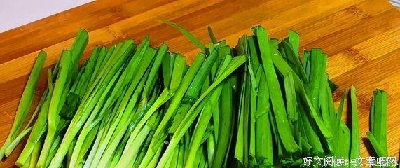 又到韭菜葱绿时