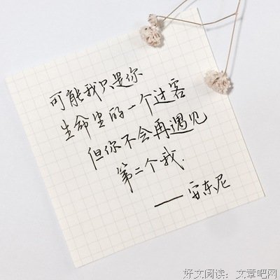 最新的《狂喜的艺术》好段摘抄大全