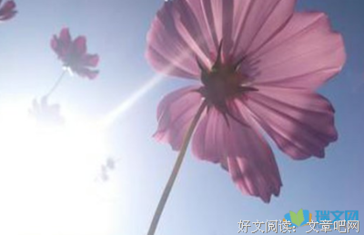 最全的共青团中央·青听名言大全