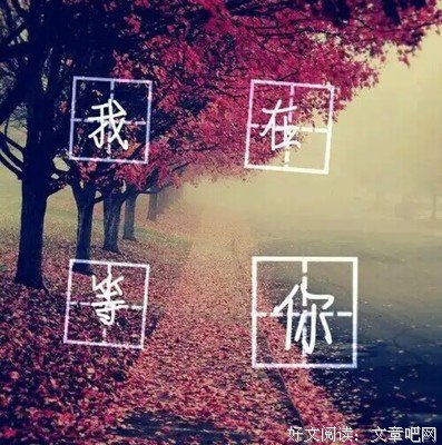 关于浅夏……的句子