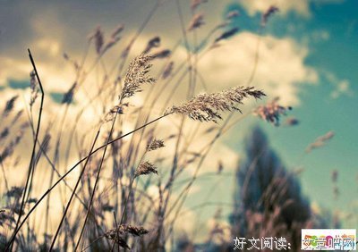 感悟名句欣赏