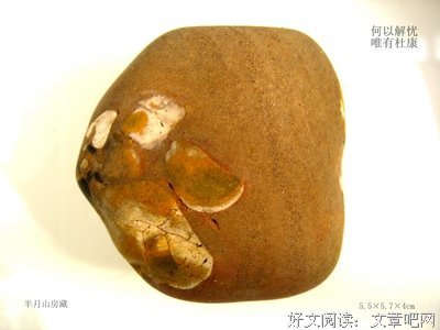 生才作以解忧？唯有杜康的句子