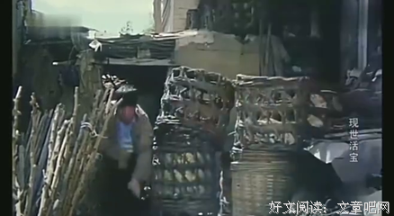 《现世活宝》经典观后感有感