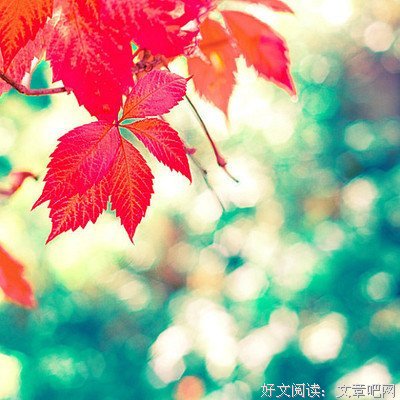 我喜欢的一些句子2