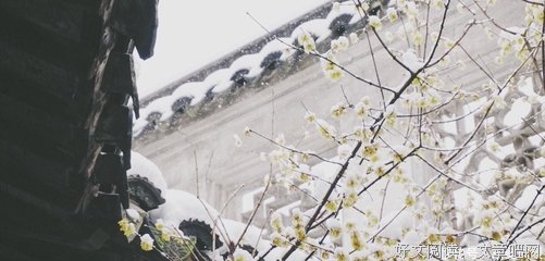 2019留项的名言