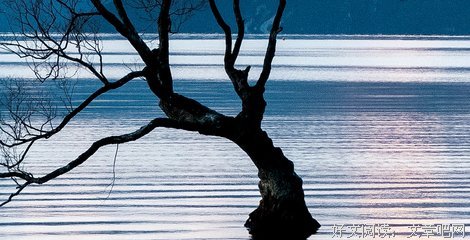 关于11的句子